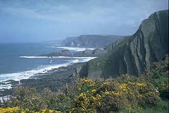Bude Haven Exterior foto